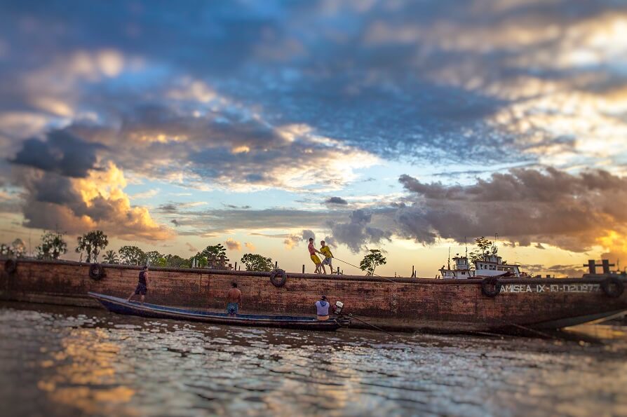 【tanakay便】Campyloneurum sp.Iquitos, Peru Conheça Iquitos, o coração da Amazônia peruana | LATAM Airlines